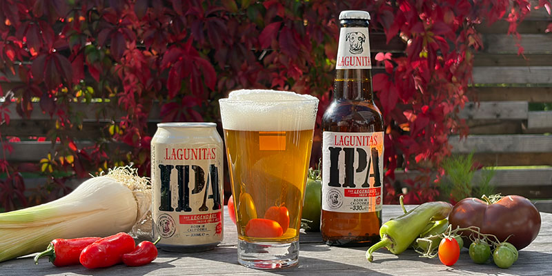 darfor-ar-lagunitas-ipa-ett-idealiskt-hostol